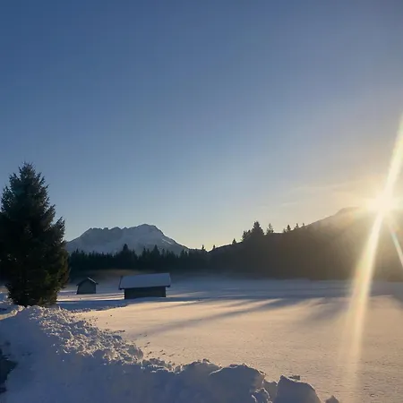 Hotel Alpen Residence-2
